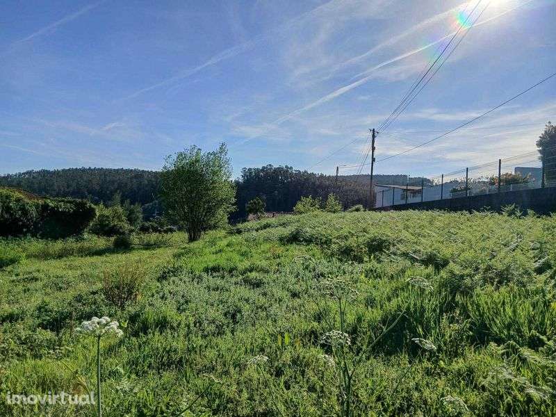 Terreno rústico com certificado de viabilidade de construção - Grande imagem: 5/8