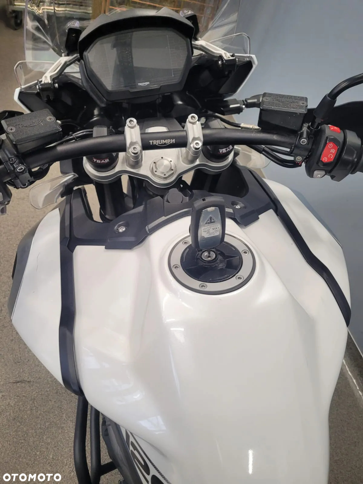 Triumph Tiger - 5