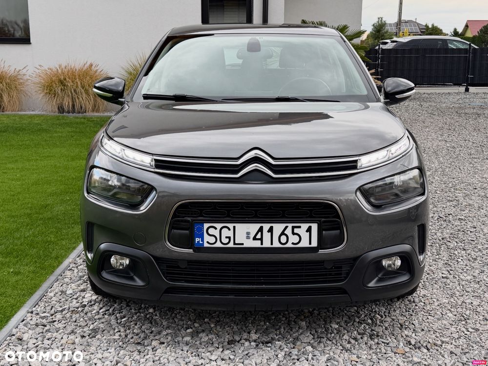 Citroën C4 Cactus Pure Tech e-THP 110 Stop&Start Shine - 22