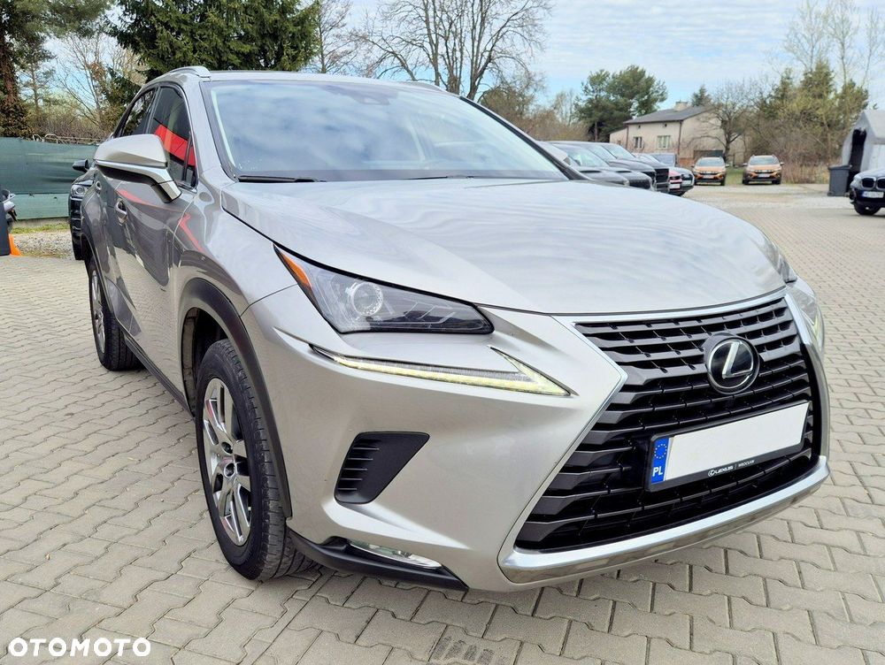 Lexus NX - 10