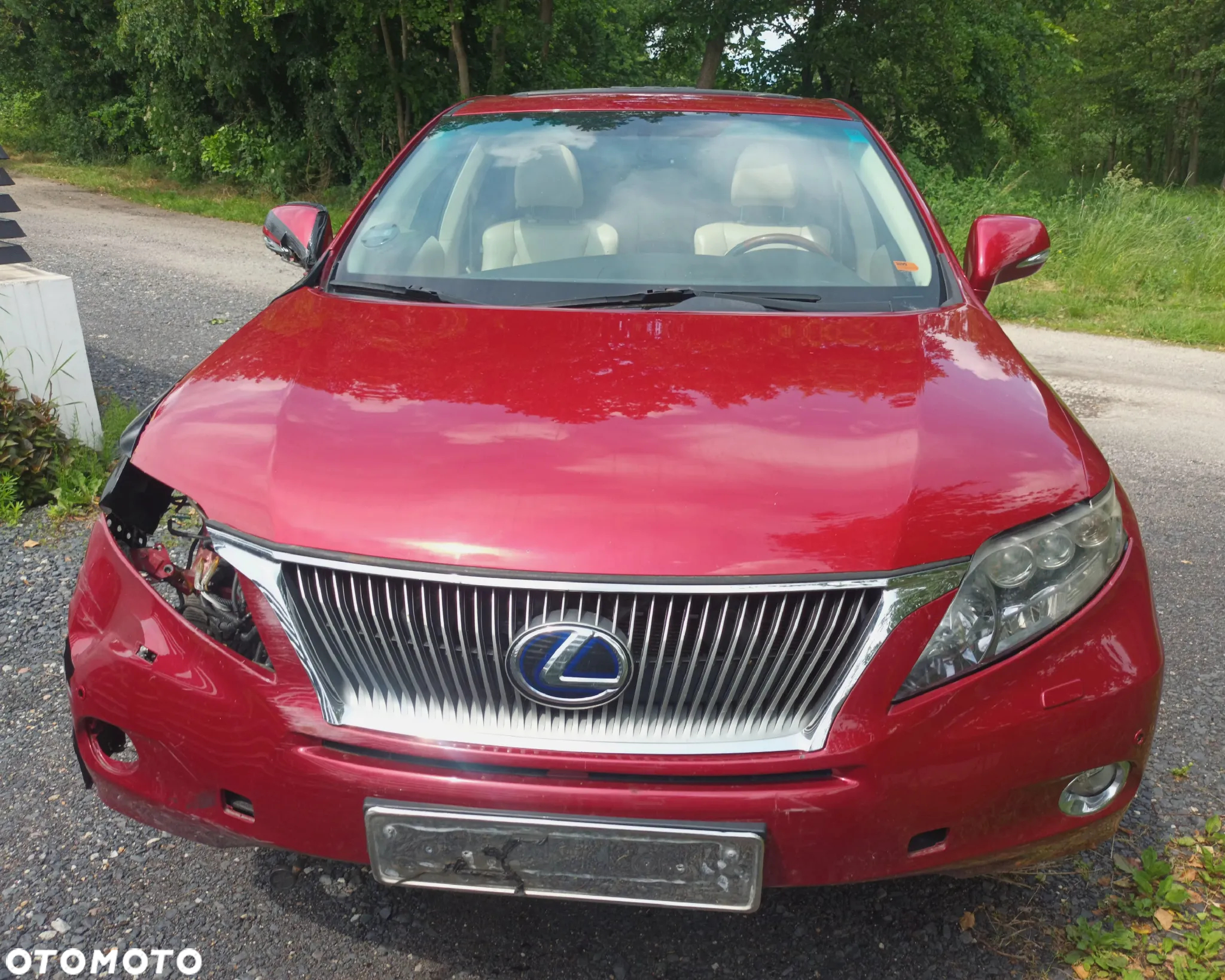 Lexus RX 450h (hybrid) Executive Line - 9