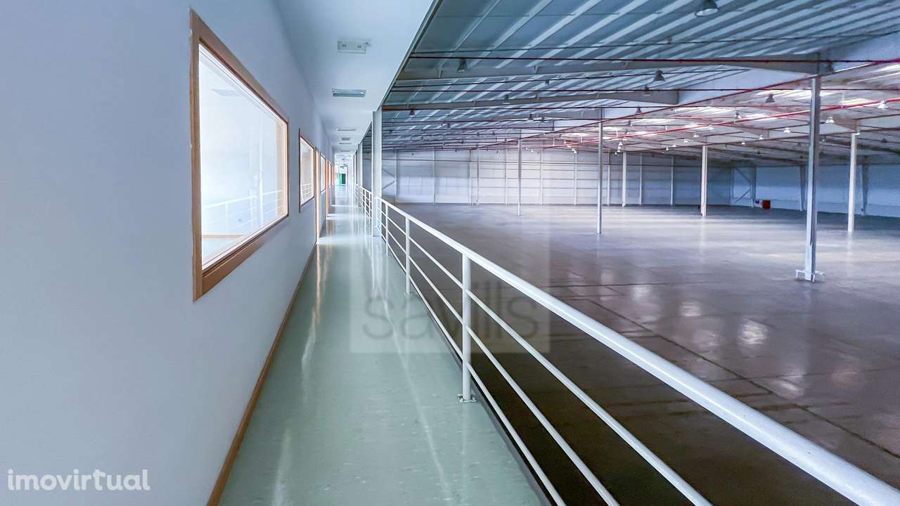 Armazéns de Leiria (Pousos) - Grande imagem: 5/19