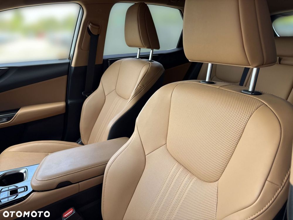 Lexus NX - 11