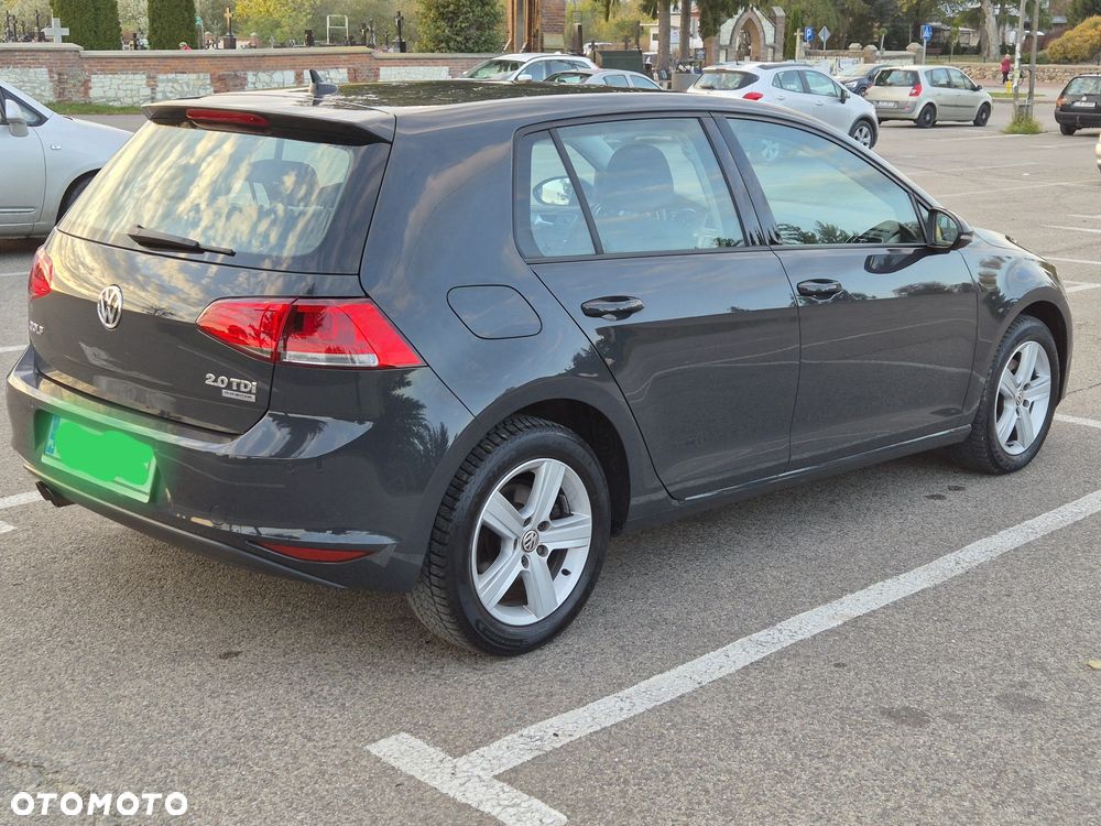 Volkswagen Golf - 15