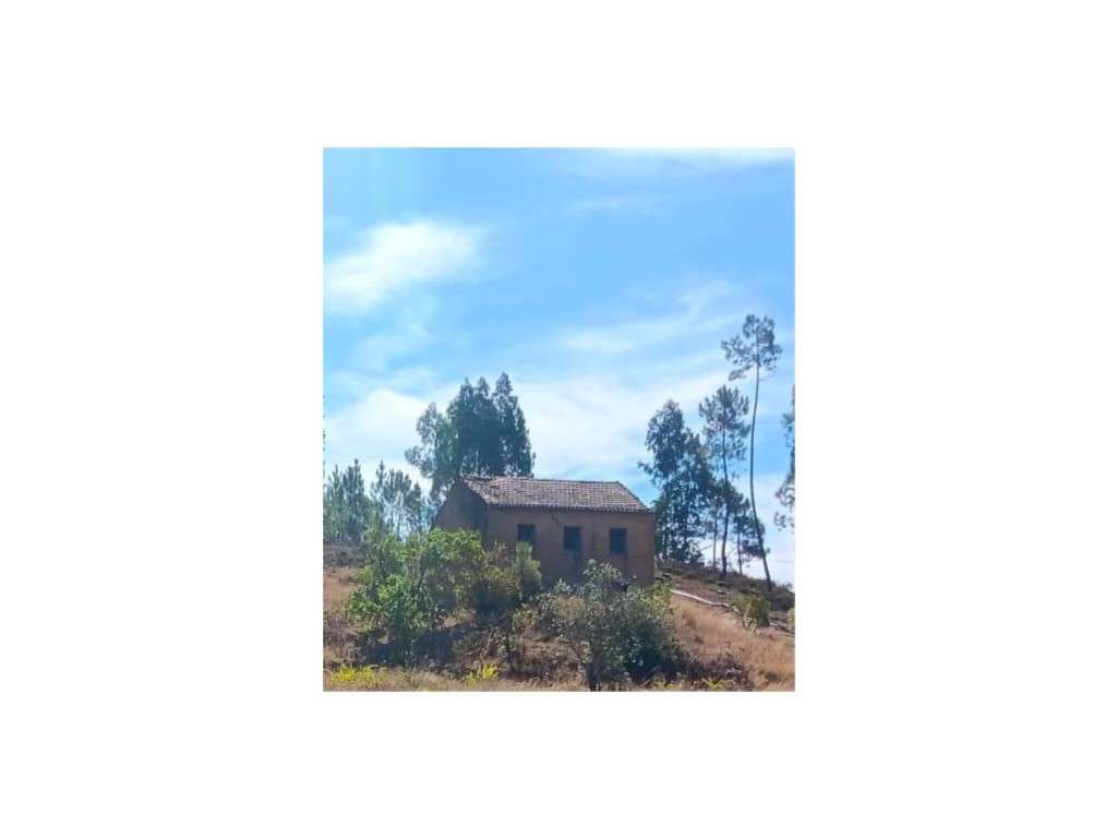 Arrendamento de Construção Rural com Terreno Rústico - Castelo de M... - Grande imagem: 2/12