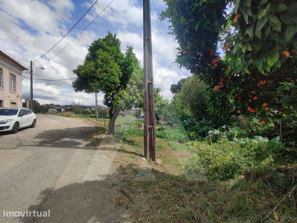 Terreno em Macinhata do Vouga para construção de moradia - Grande imagem: 2/8