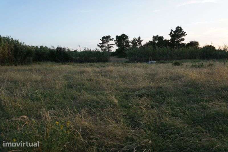 Terreno em Vila Nova de Milfontes - Grande imagem: 5/12