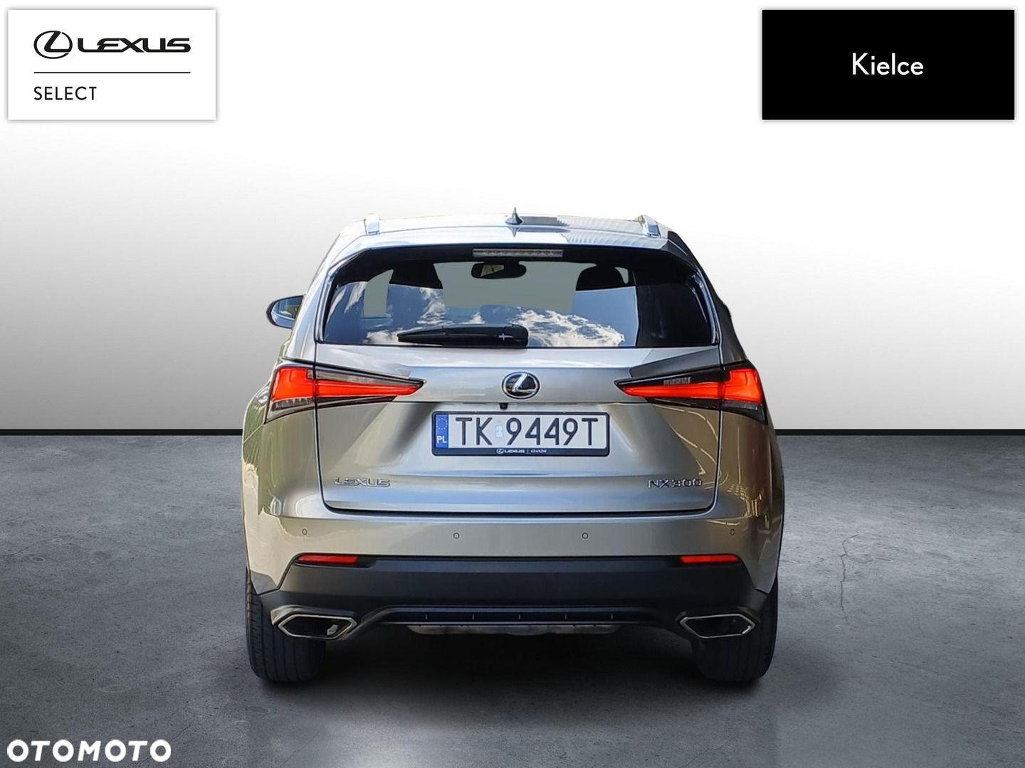 Lexus NX - 4