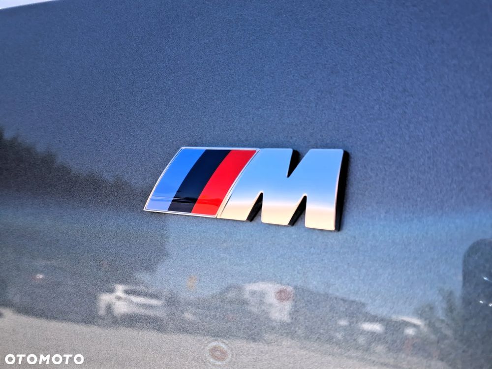 BMW Seria 3 318i M Sport - 14