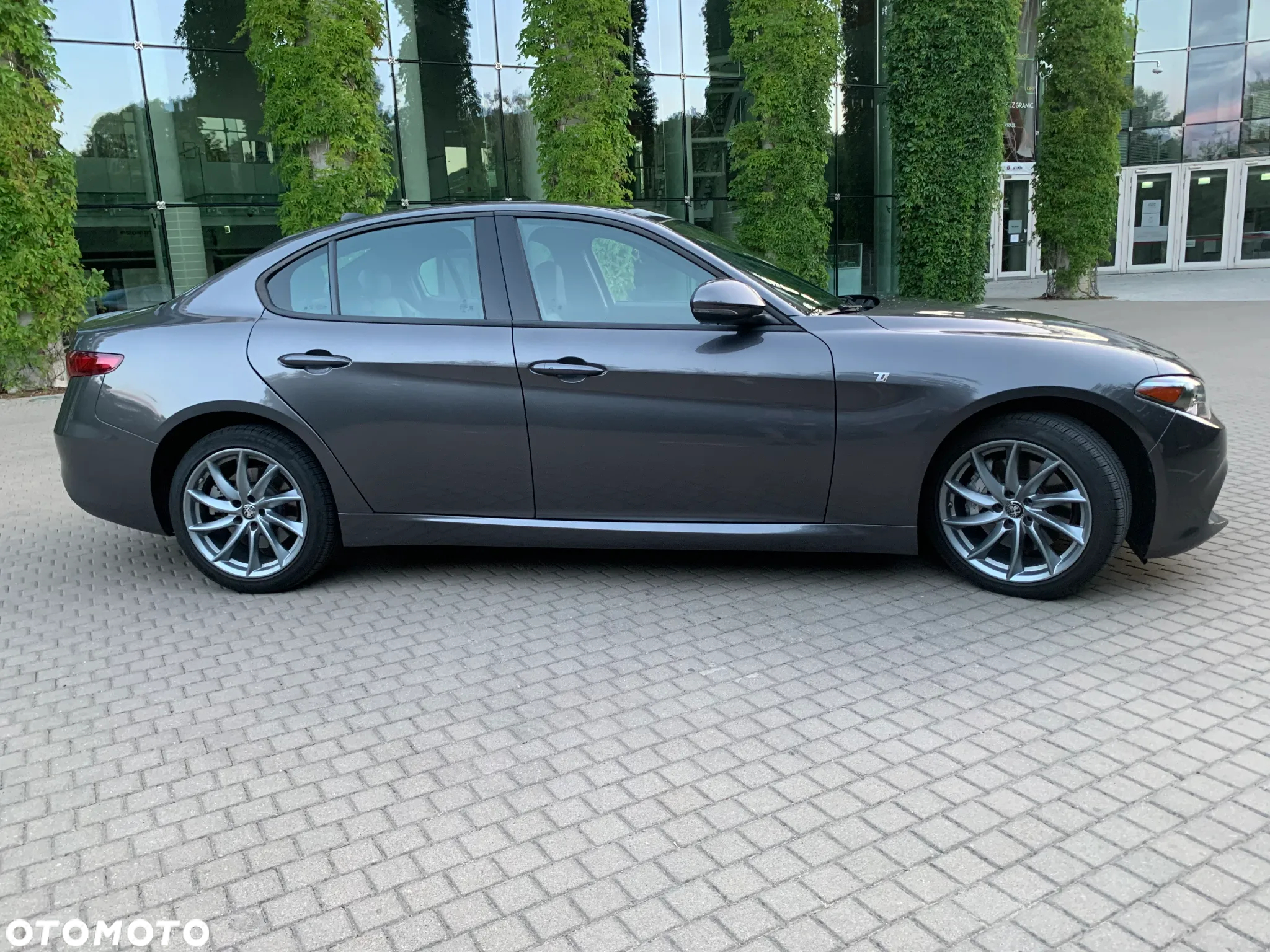 Alfa Romeo Giulia - 3