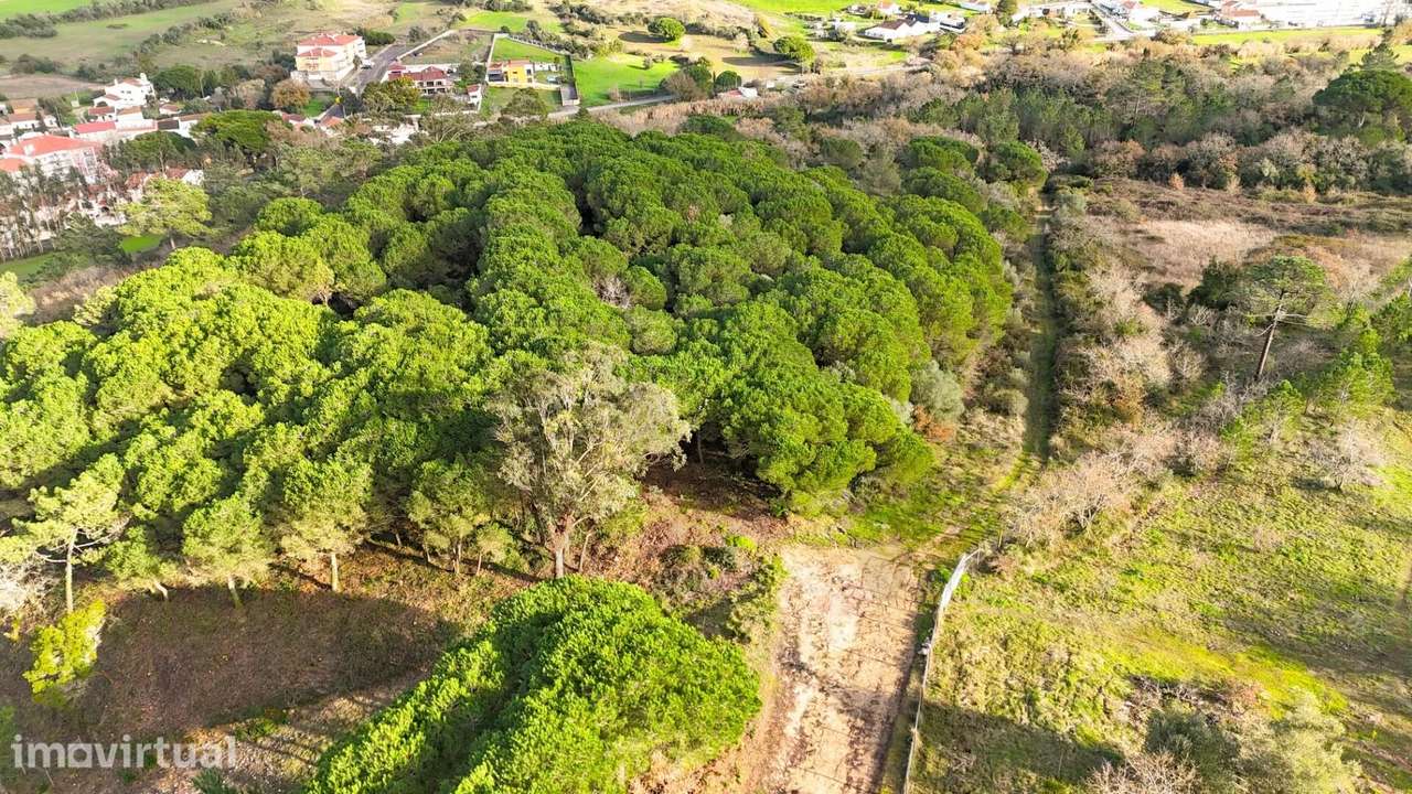 Terreno com 34.000 m2 na Venda do Pinheiro | Potencial para Moradia at - Grande imagem: 2/7