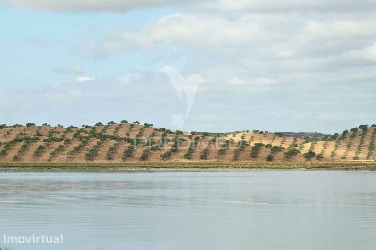 Terreno rústico na margem do Guadiana, com 106ha - Grande imagem: 5/31