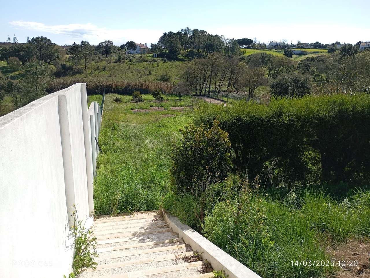 BAIXA DE PREÇO Quinta / Herdade em sitio idílico e soalheiro. Grande t - Grande imagem: 3/29
