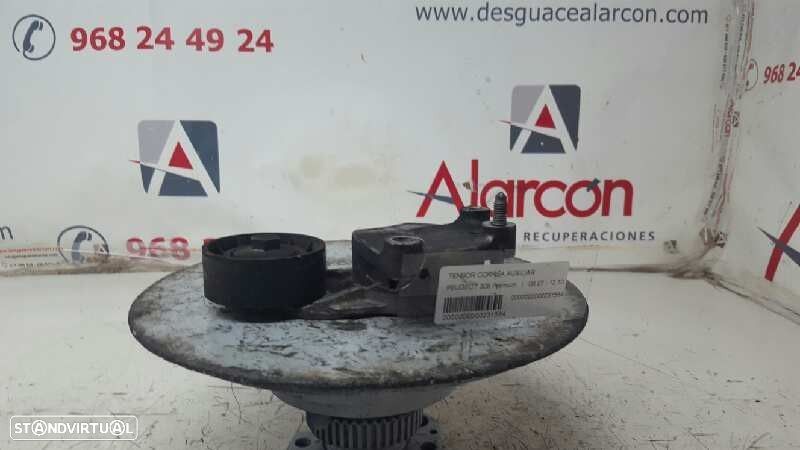 TENSOR CORREIA AUXILIAR PEUGEOT 308 PREMIUM - 1