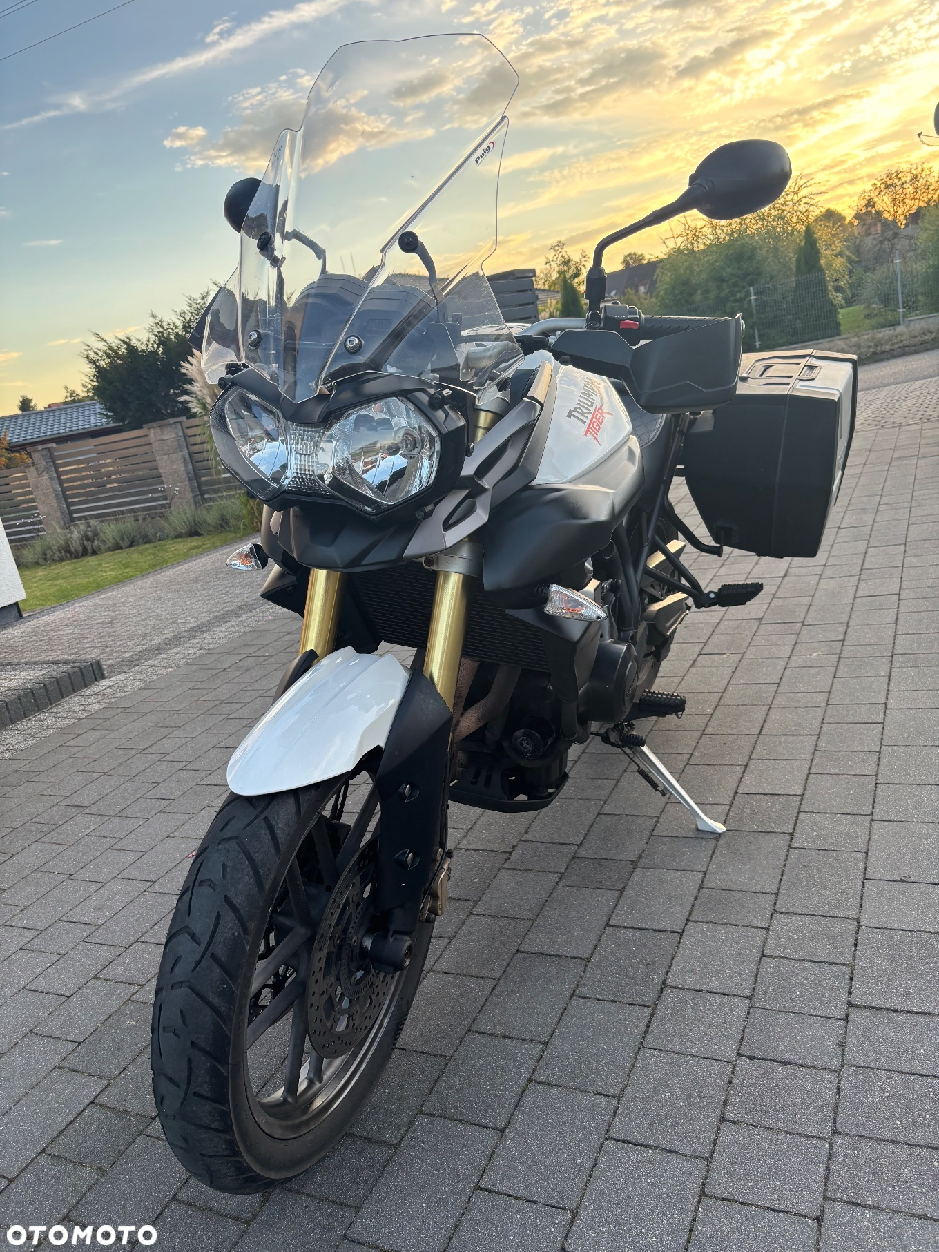 Triumph Tiger - 2