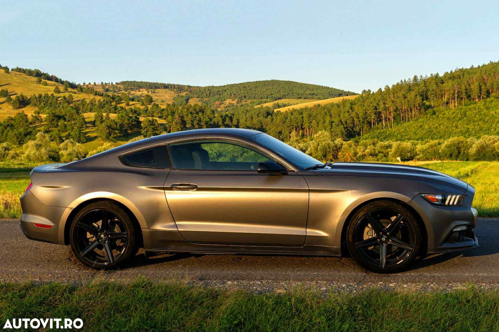 Ford Mustang - 19