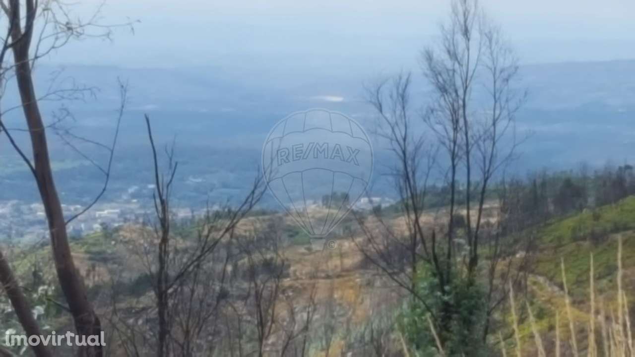 Terreno  para venda - Grande imagem: 2/11