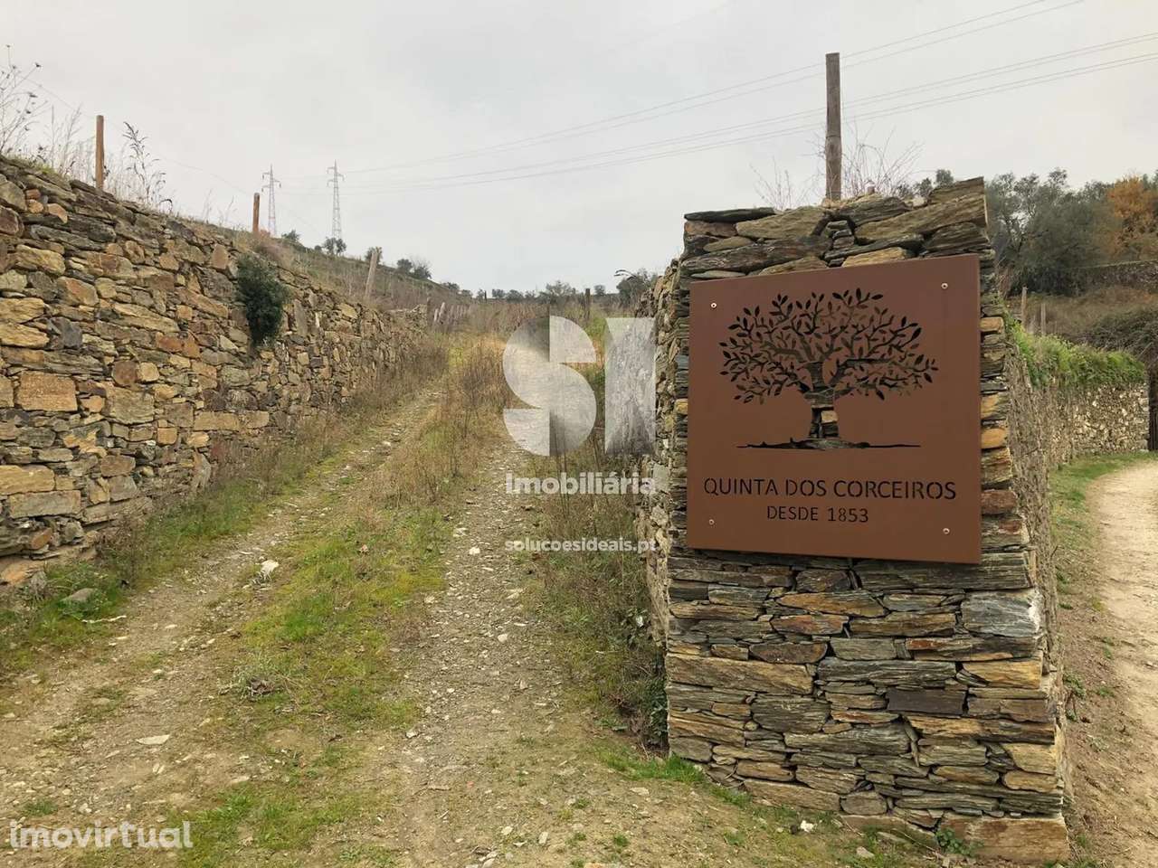 Quinta em Peso da régua - Grande imagem: 2/27