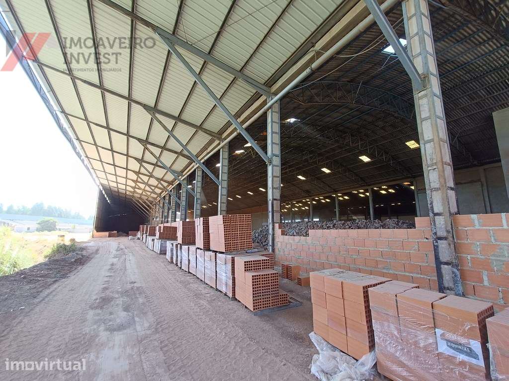 Armazém Industrial com escritórios Em Águeda - Grande imagem: 5/16