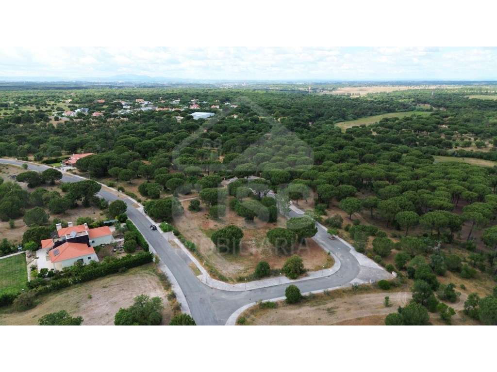 Terreno em Emprendimento Urbano com Golfe - Grande imagem: 4/19