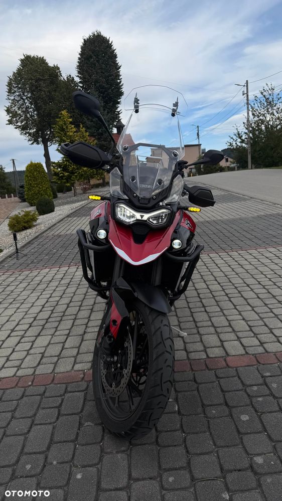 Triumph Tiger - 13