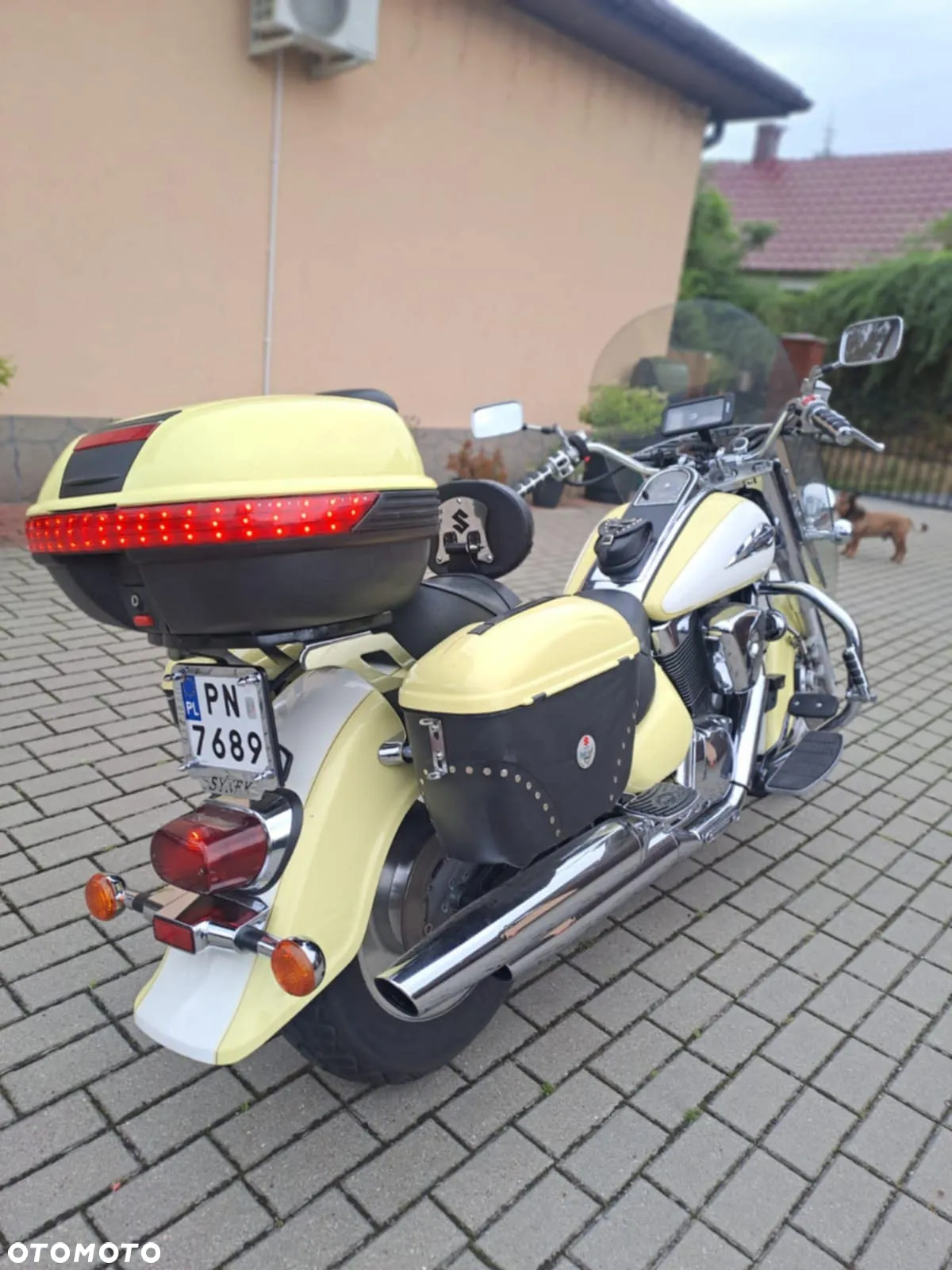 Suzuki Intruder - 4