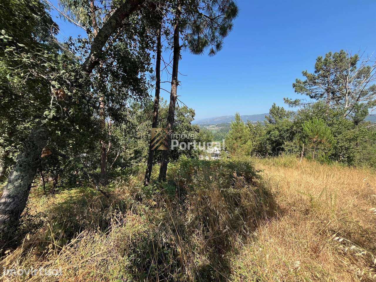 Excelente Preço - Terreno com 3.554m² e Potencial de Construção - Grande imagem: 5/11