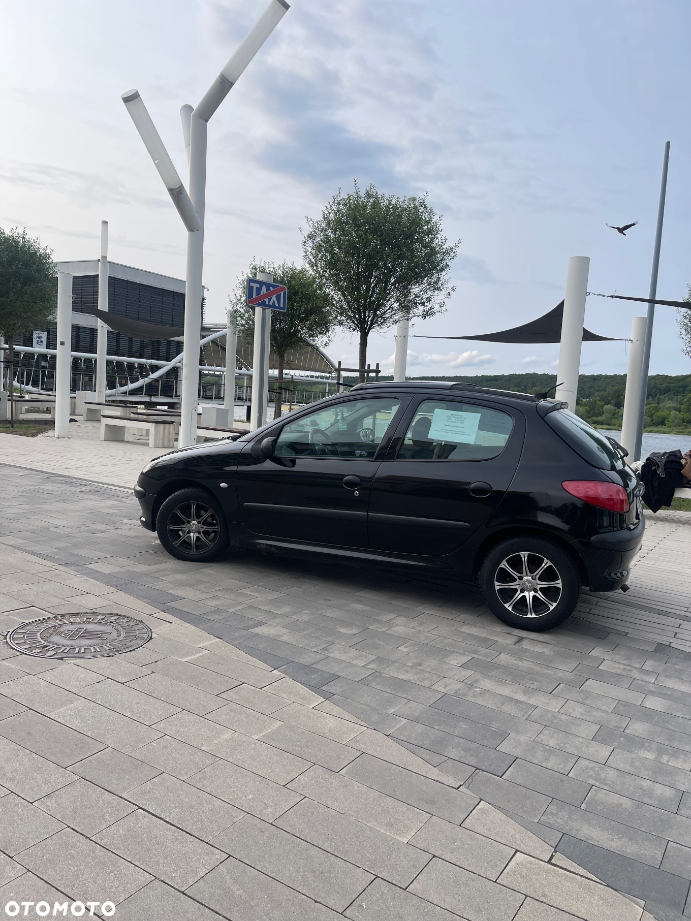 Peugeot 206 - 6