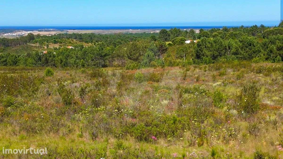 Terreno Serominheiro - Grande imagem: 2/6