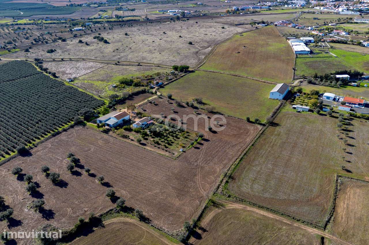 Monte do Ribeiro dos Frades com 2,5Ha - às portas da cidade - Grande imagem: 5/40