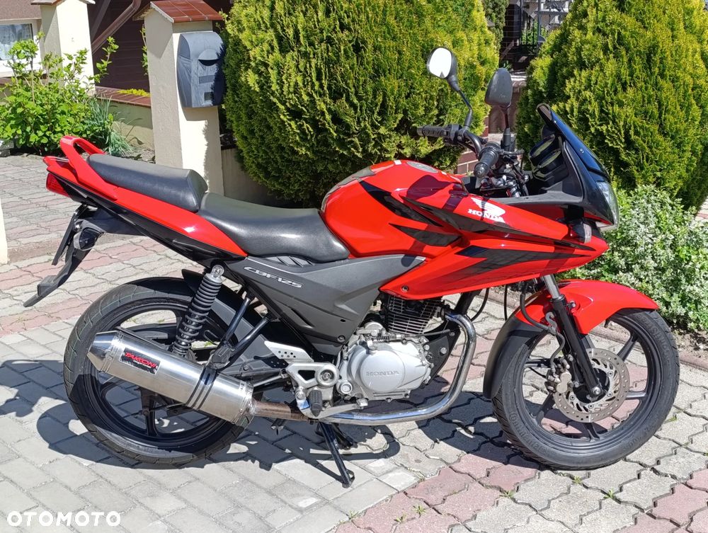 Honda CBF - 6
