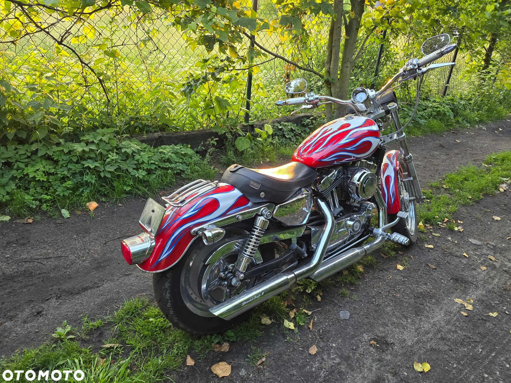 Harley-Davidson Sportster Custom 1200C - 6