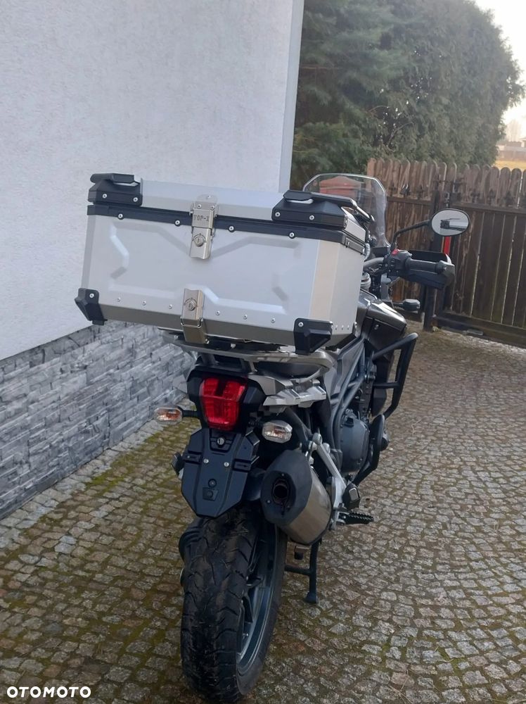 Triumph Tiger - 6