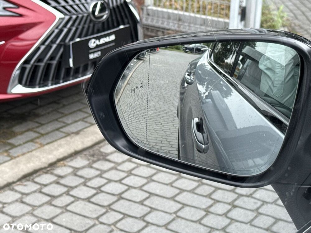 Lexus RX - 24