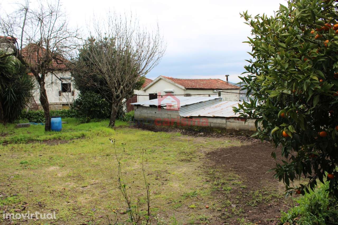 Terreno para construção com 600m² em São Martinho do Campo, Santo Tirs - Grande imagem: 2/13