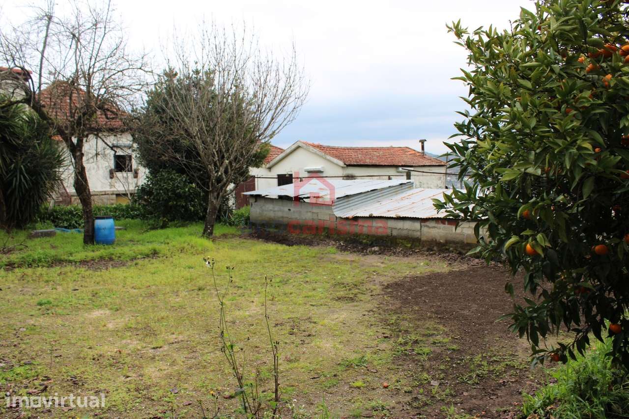 Terreno para construção com 900m² em São Martinho do Campo, Santo Tirs - Grande imagem: 2/13