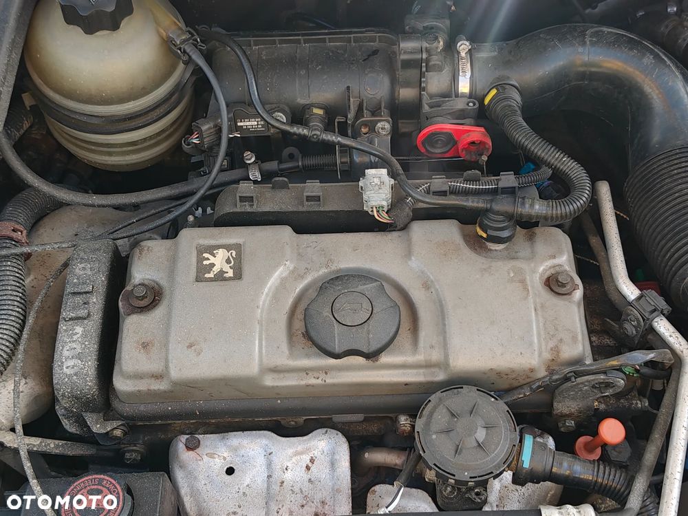 Peugeot 206 75 Grand Filou - 9