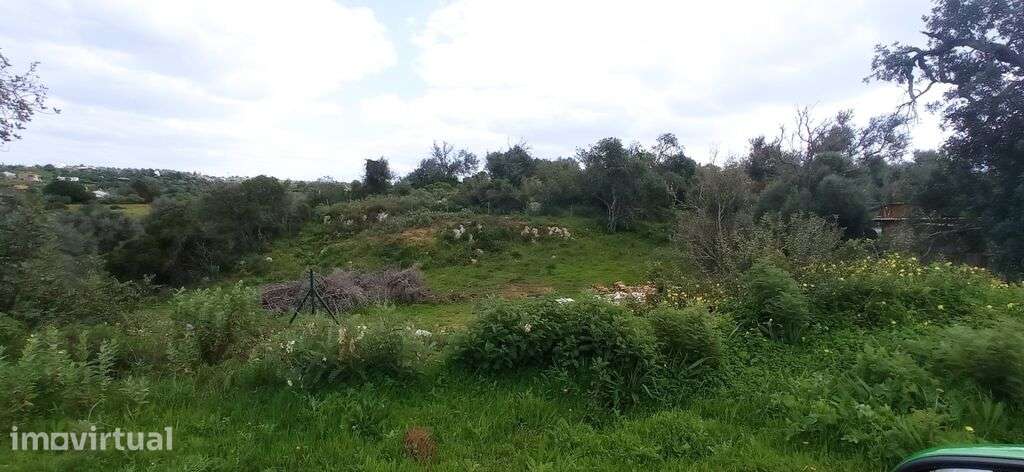 Venda Quinta/Herdade - Grande imagem: 2/6