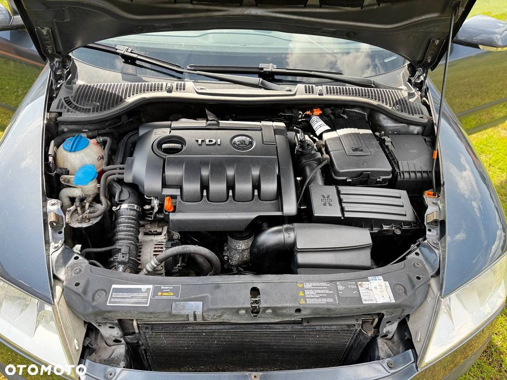 Skoda Octavia 1.9 TDI Elegance DSG - 10