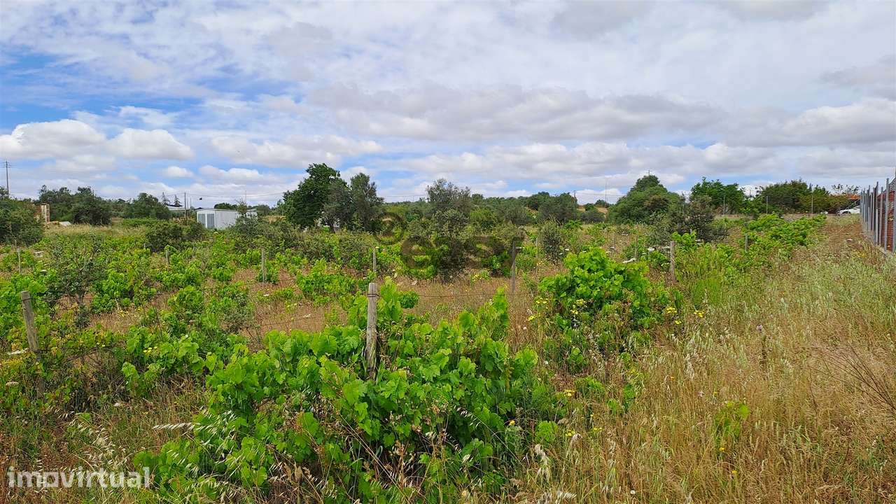 Terreno Rústico para Venda na Vidigueira, com 5.000 m² - Grande imagem: 2/10