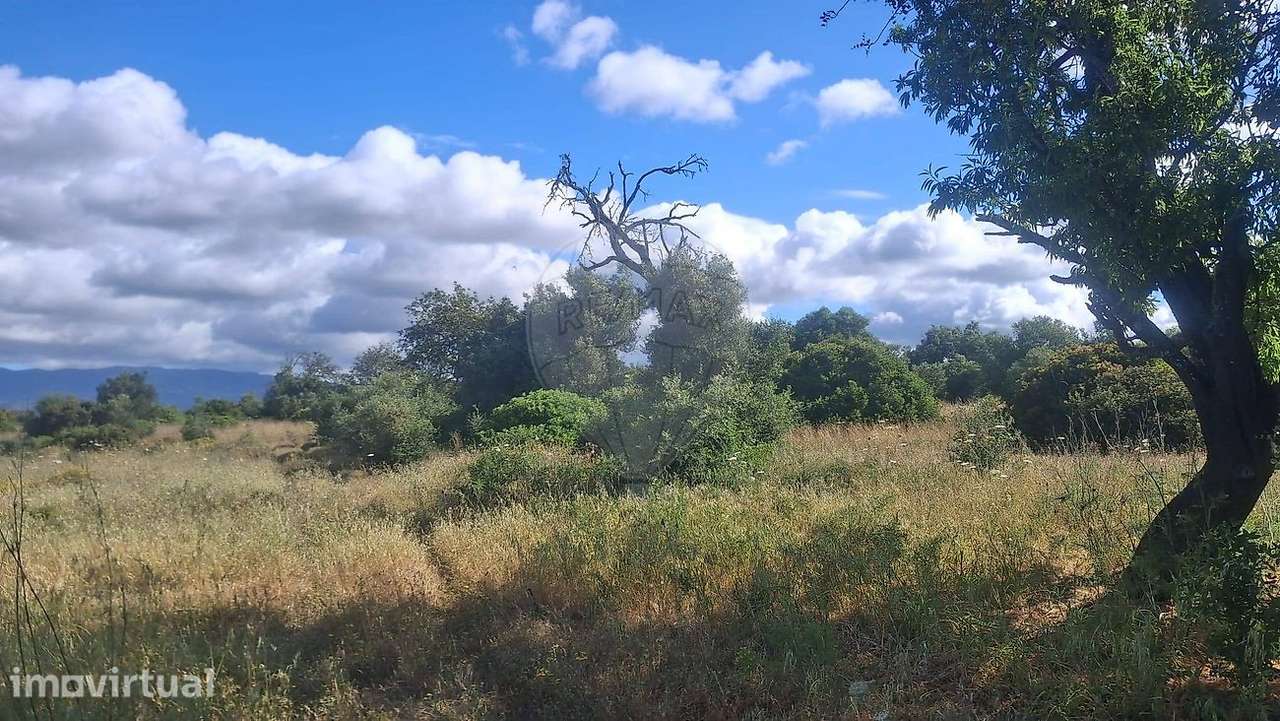 Terreno  para venda - Grande imagem: 5/6