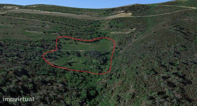 Terreno Rústico Fonte do Lobo - Grande imagem: 2/4