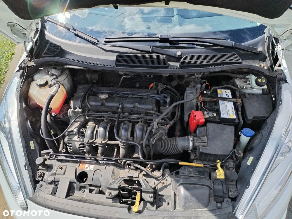 Ford Fiesta - 31