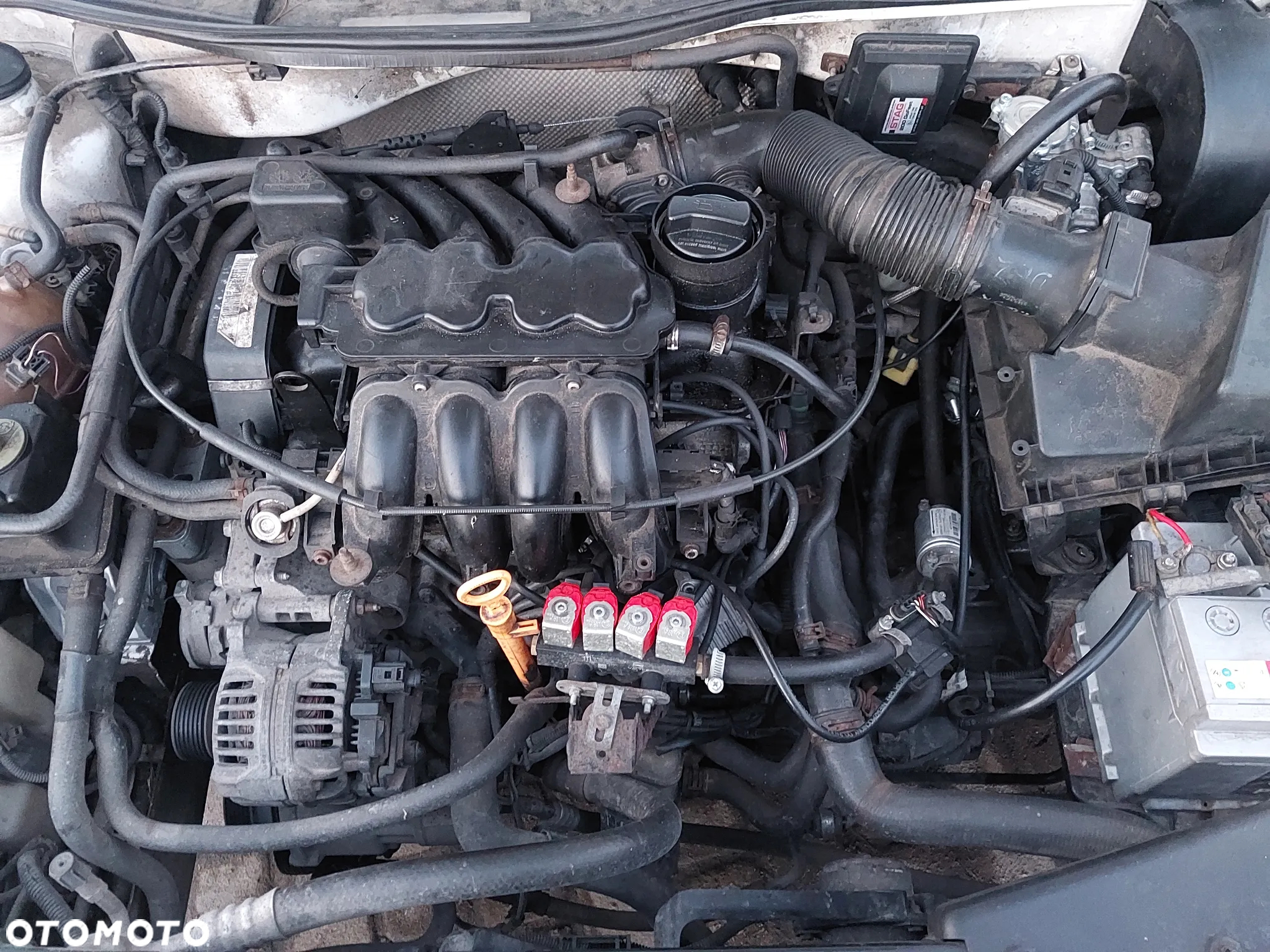 Seat Toledo Leon I silnik 1.6 AKL AVU AEH skrzynia DUU DUW DLP DUS maglownica belka zacisk tył blenda klapa maska zderzak błotnik CAŁY NA CZĘŚCI WSZYSTKIE CZĘŚCI - 16