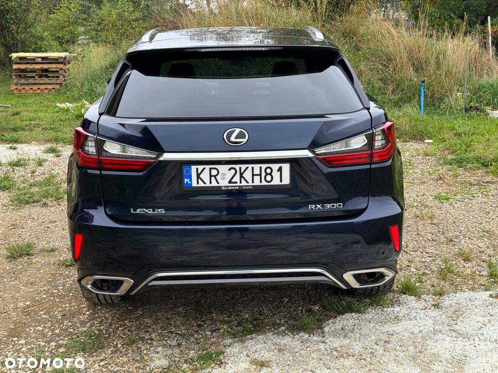 Lexus RX 15-19 - 4