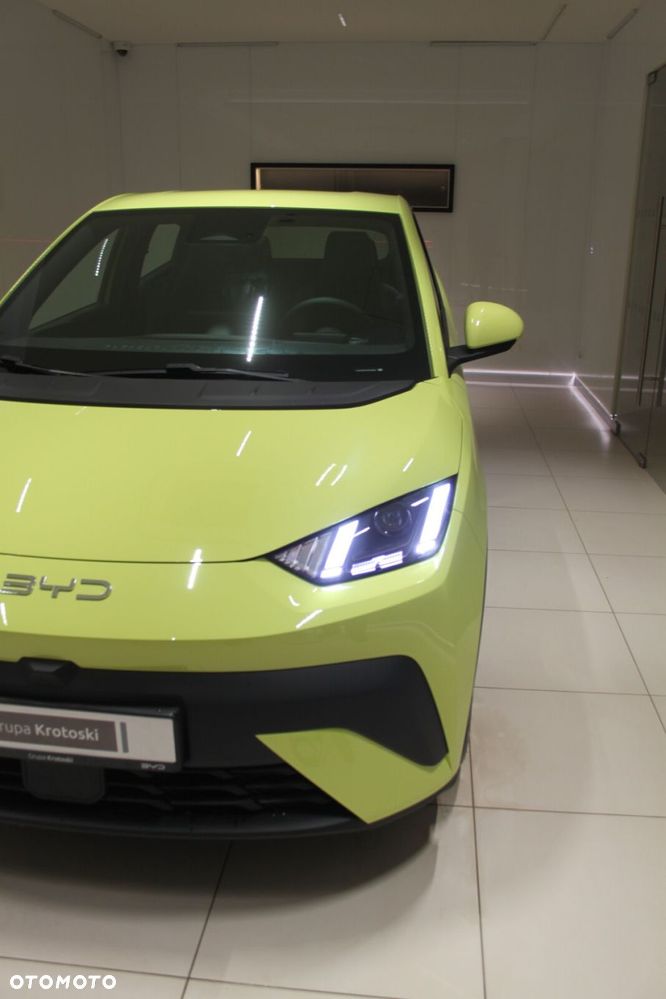 BYD Dolphin Surf - 16