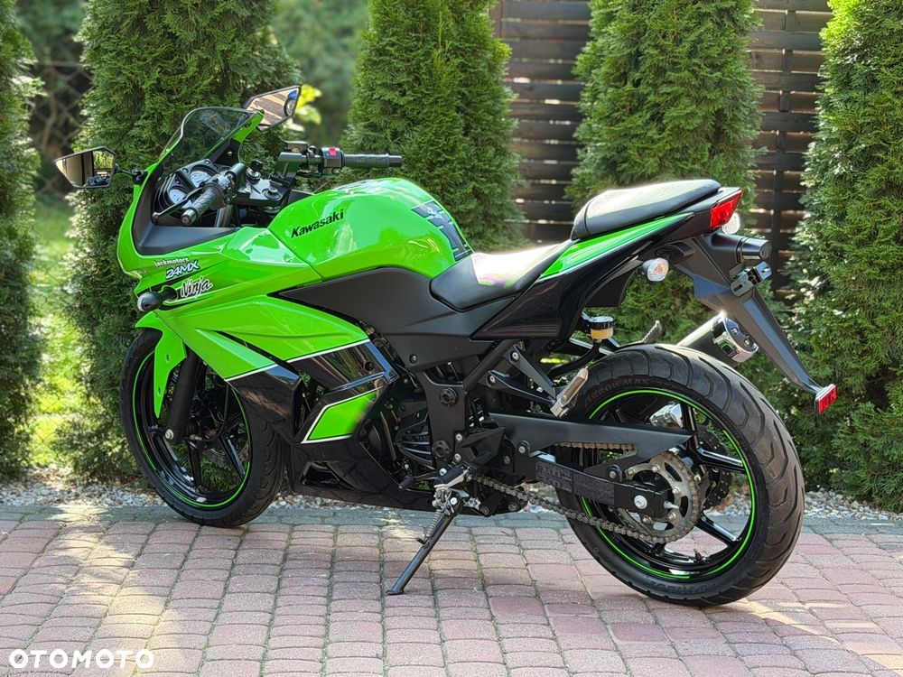 Kawasaki Ninja - 8