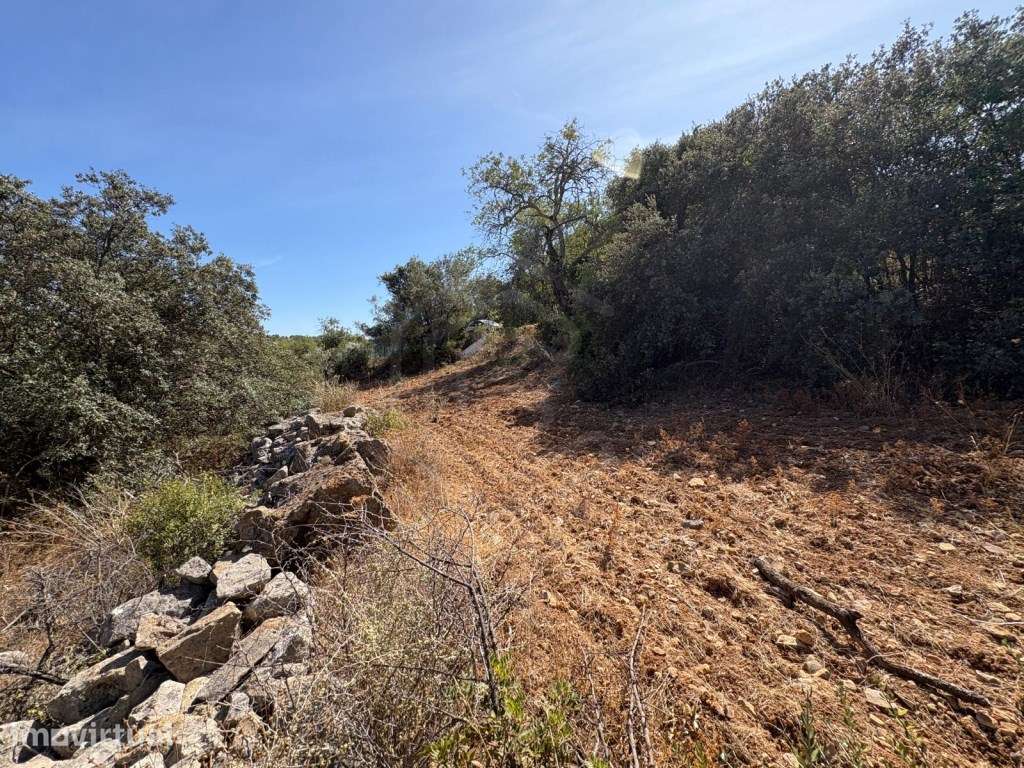 Terreno Agrícola com 7.120 m² em Loulé, Algarve - Grande imagem: 4/12