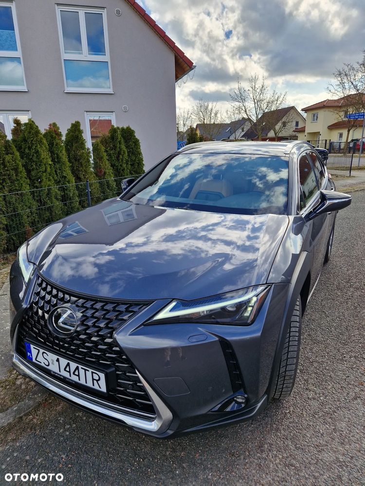Lexus UX - 7