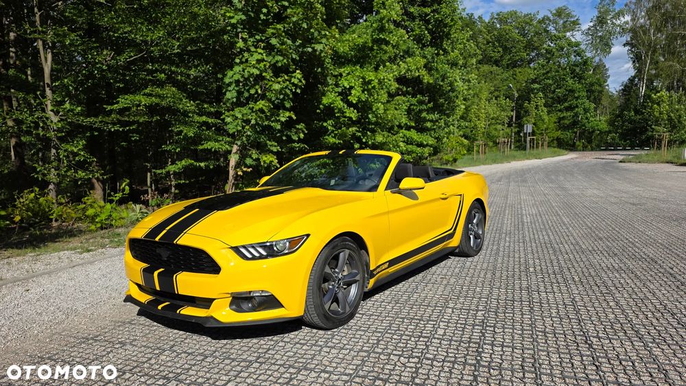 Ford Mustang 3.7 V6 - 7